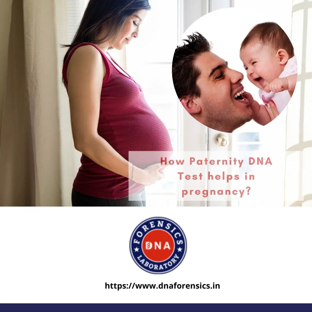 How Paternity DNA Test helps in Pregnancy