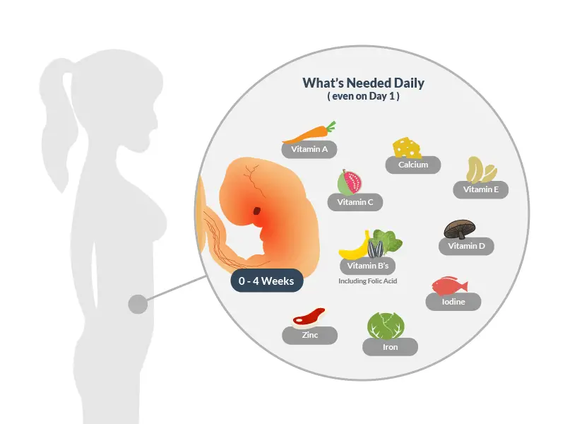 How Prenatal Vitamins Increase Your Chances of Pregnancy