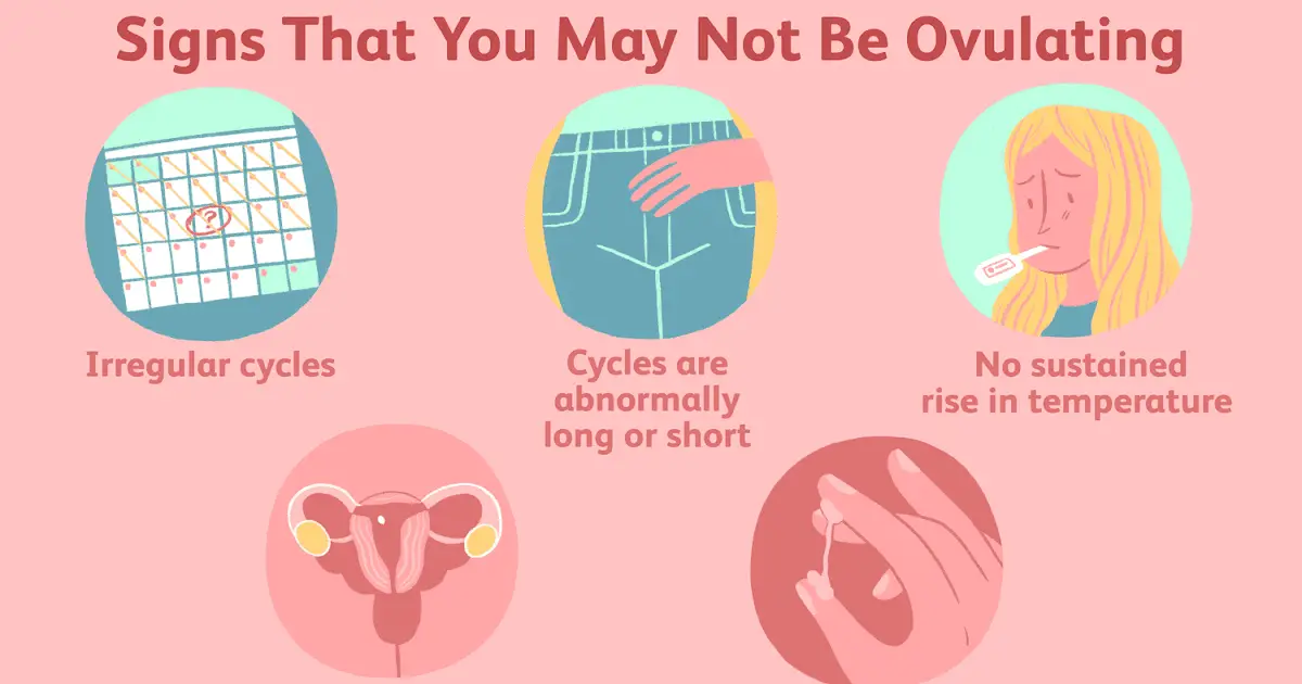 How Soon Can You Tell If Your Pregnant