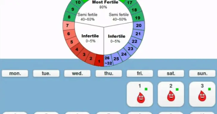 How to Calculate Safe Days to Avoid Pregnancy
