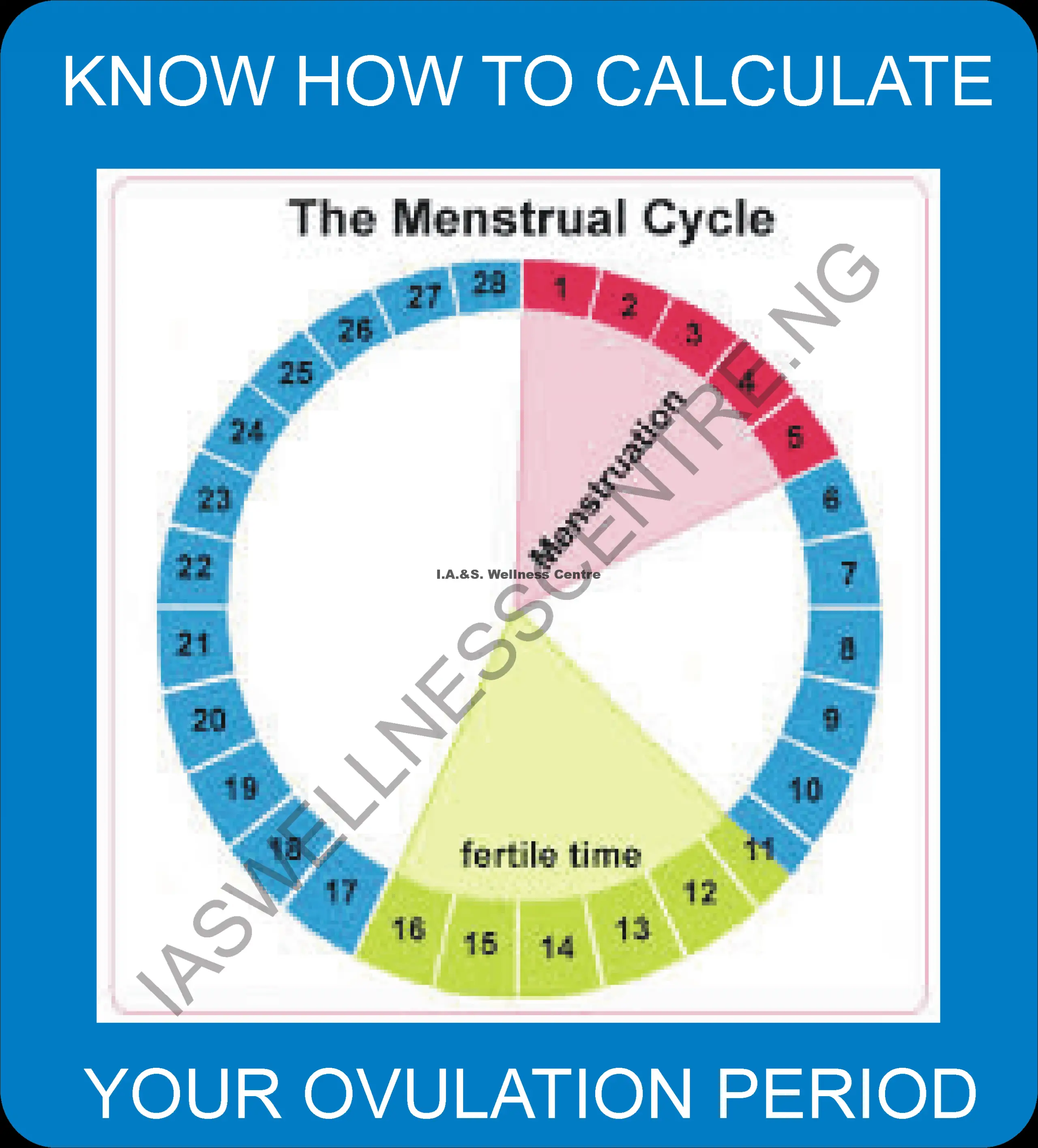 HOW TO CALCULATE YOUR OVULATION PERIOD