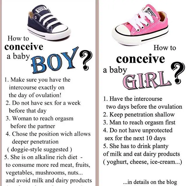 How to conceive a boy or a girl?