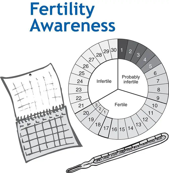 How to Determine my most #fertile days? #Fertility #Calculator # ...