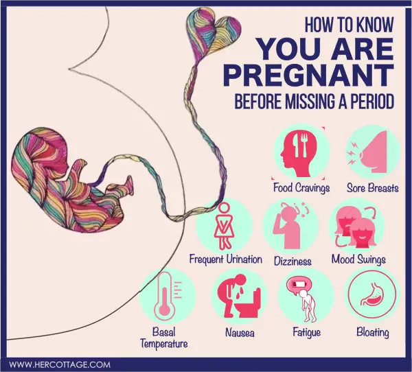 HOW TO KNOW If You Are Pregnant Before Missing A Period ...