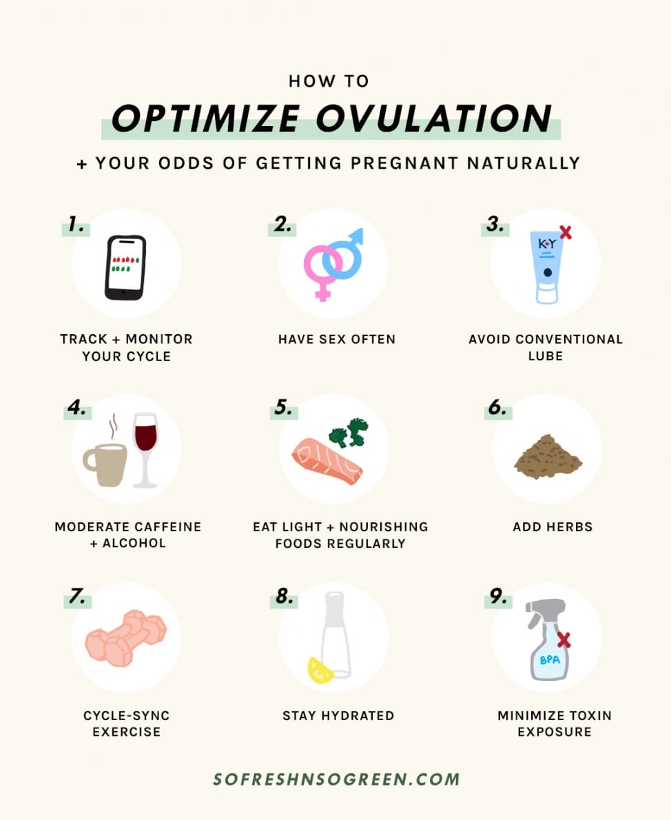 How To Optimize Ovulation, Boost Fertility + Increase Your Odds of ...