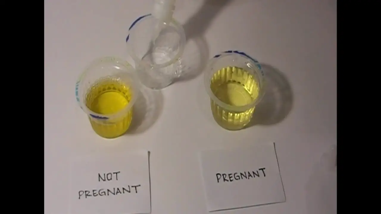 How to Test Pregnancy at Home Naturally