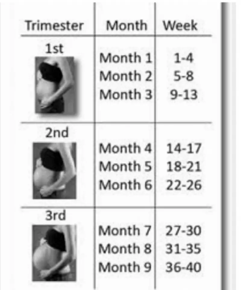 I just tot I should share for those who need to calculate their pregnancy.