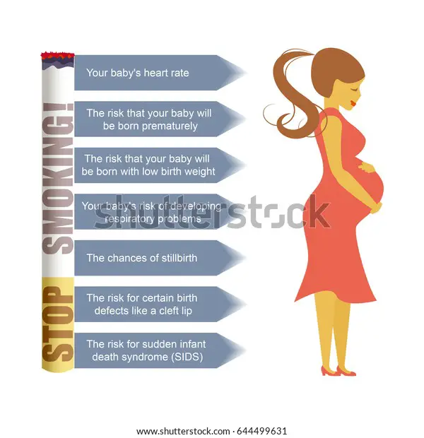Infographic About Dangers Smoking Pregnant Women Stock Vector (Royalty ...
