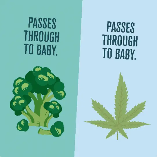 Is Smoking Weed Bad for Pregnant Women?
