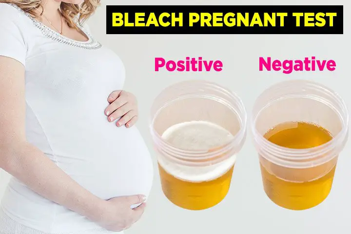 Is The Bleach Being pregnant Check Correct And Dependable ...