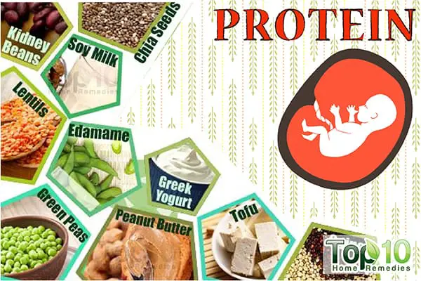 Know the Importance of Protein during Pregnancy