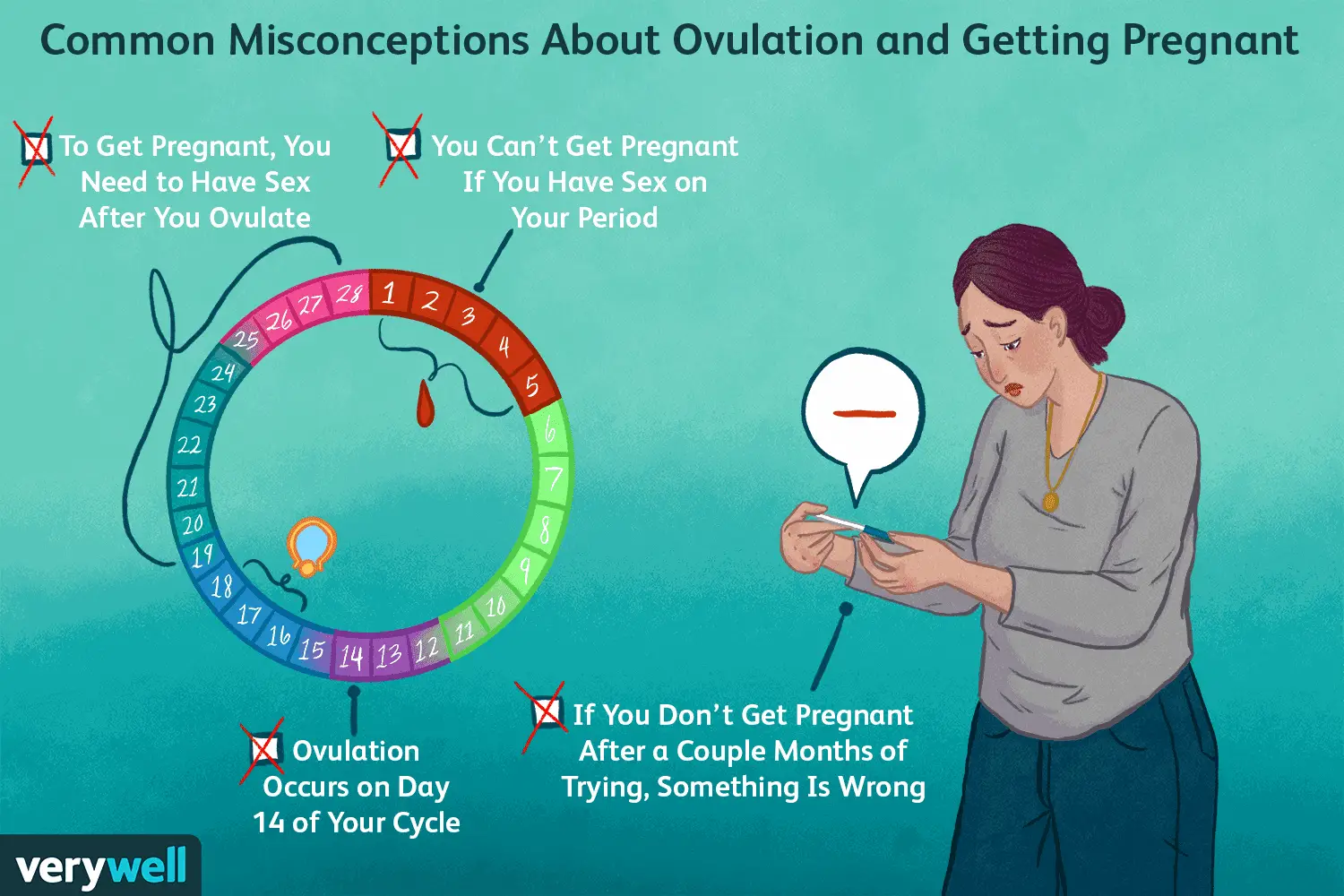 Late Ovulation And Pregnancy : Am I Pregnant Or Is My ...