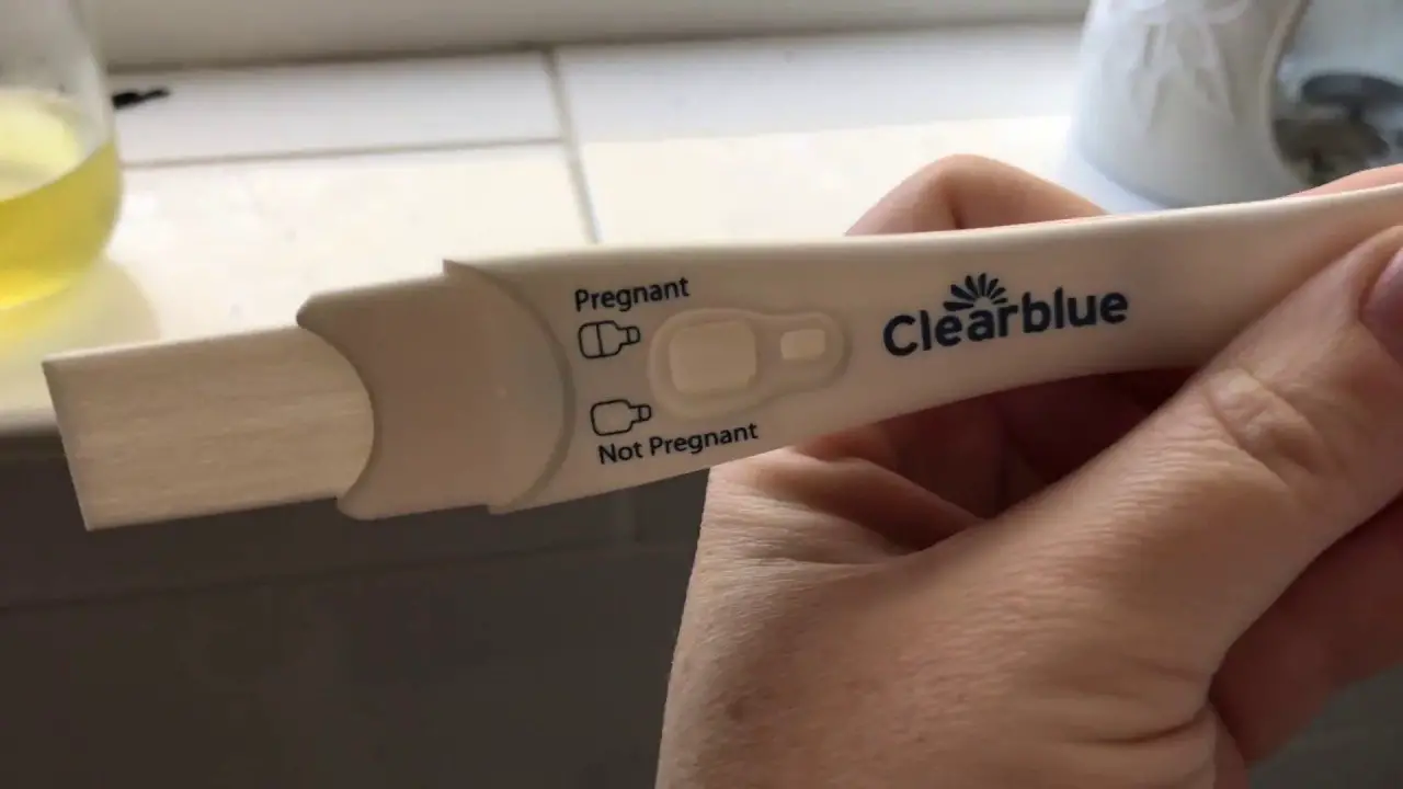 Live pregnancy test