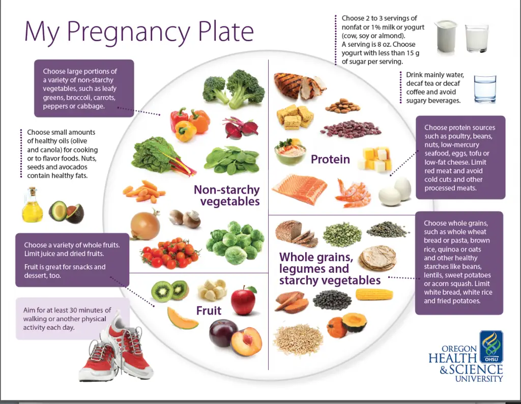 my pregnancy plate a blueprint for healthy eating