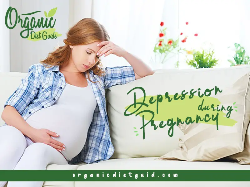 organicdietguide: Causes & Treatment Depression During Pregnancy