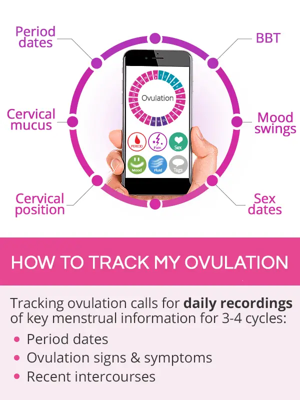 Ovulation Trackers