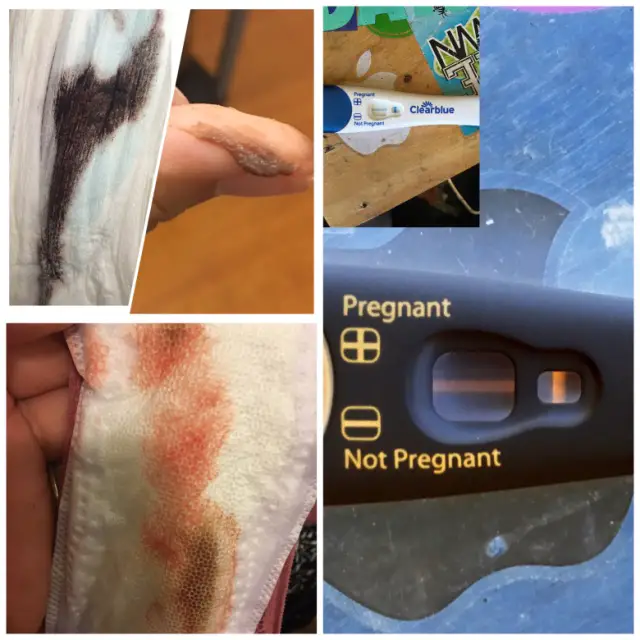 Period and pregnant? Implantation bleeding? WTF