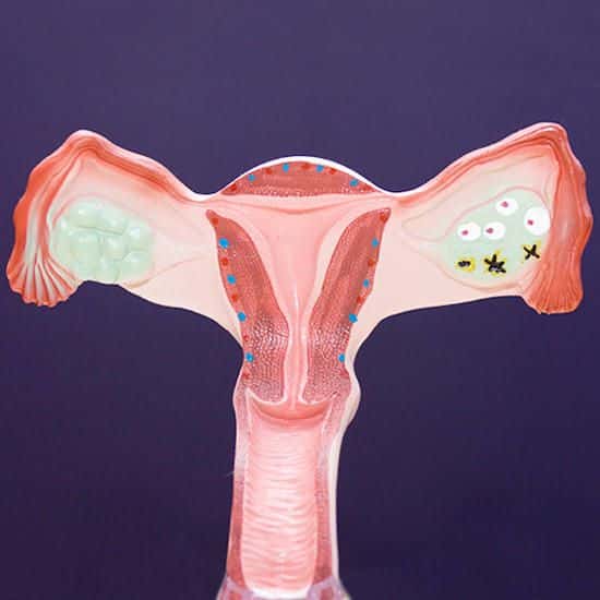 Pin on Pregnancy Fertility &  Health