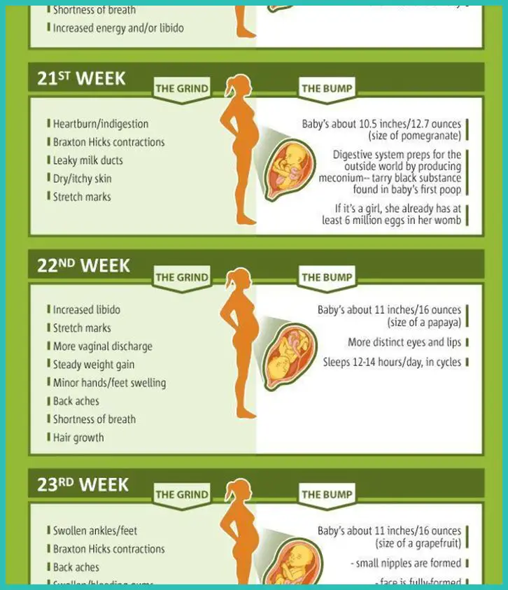 Pin on Pregnancy Signs
