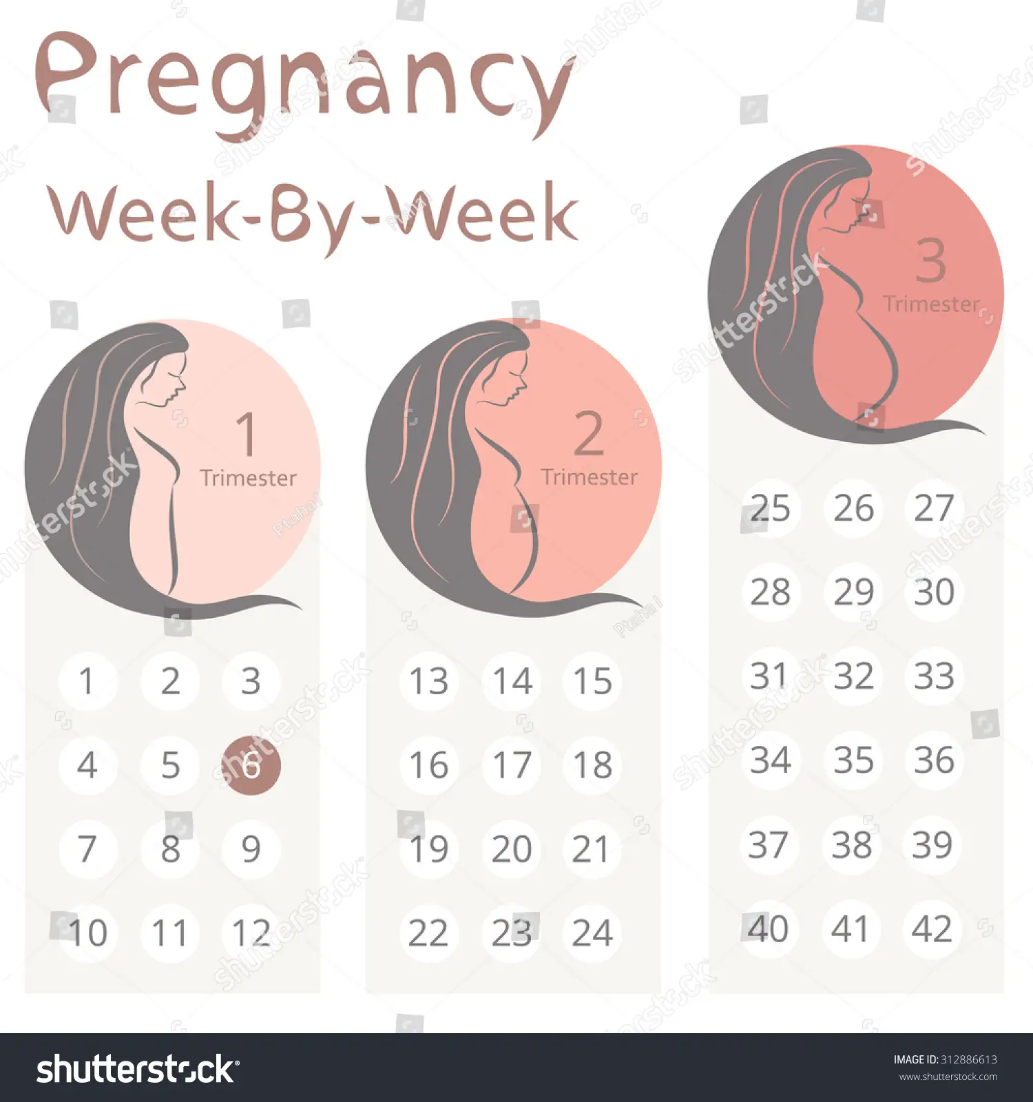 Pregnancy Calendar 3 Weeks