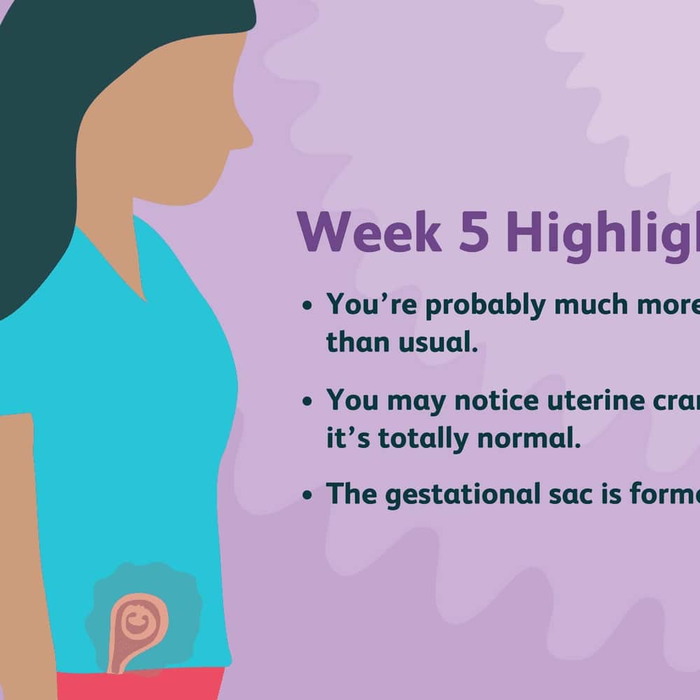 Pregnancy Calendar 5 Weeks