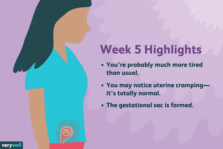 Pregnancy Cramping 5 Weeks : 5 Weeks Pregnant Symptoms Tips And More ...