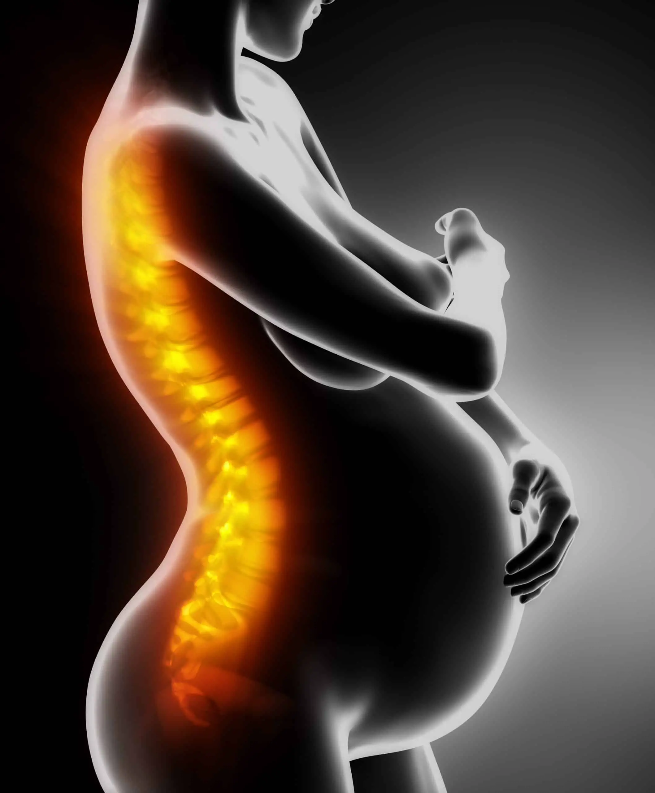 Pregnancy, Low Back Pain &  Chiropractic