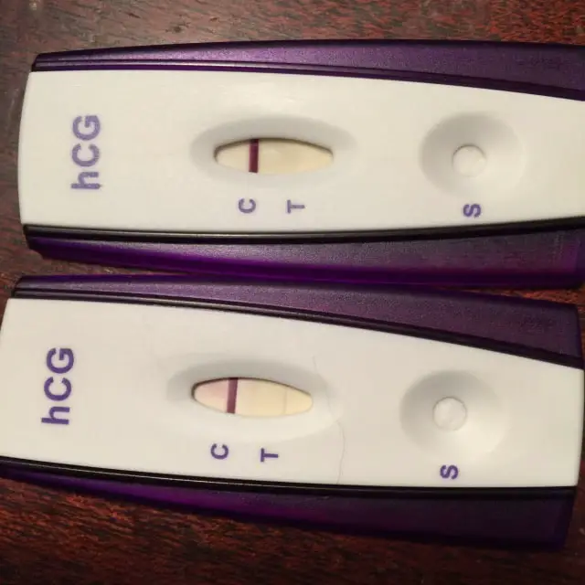 Pregnancy Test Faint Line After 1 Hour