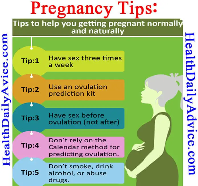 Pregnancy Tips : How to Get Pregnant Fast