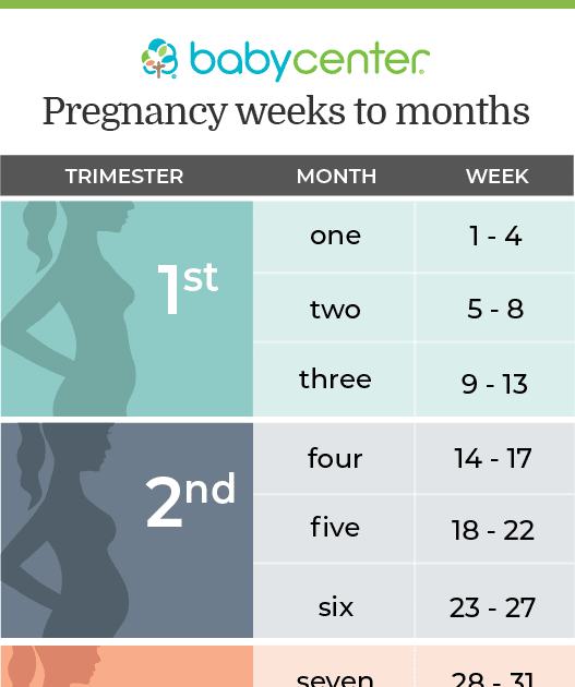 Pregnancy Weeks To Months Calendar