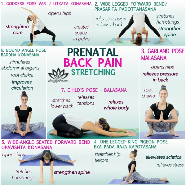 Pregnant Stretches For Back Pain Top 7 Stretches