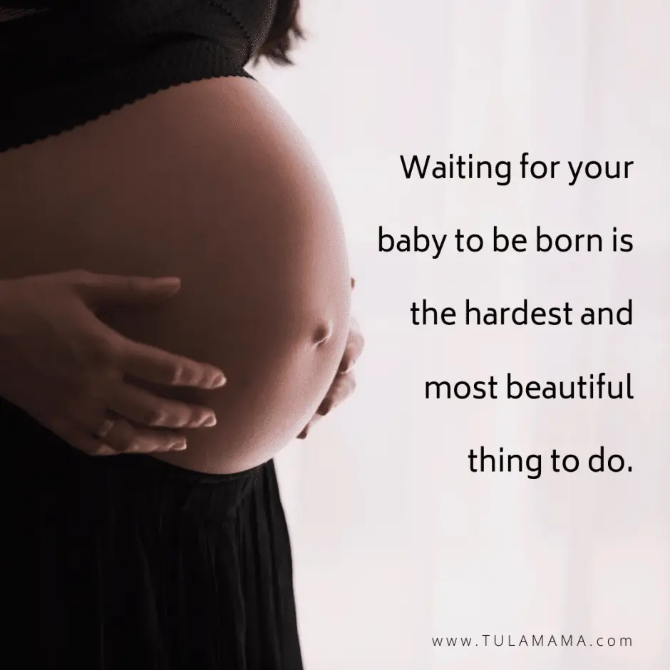 Real Pregnancy Quotes That Actually Describe What Pregnancy Is About ...