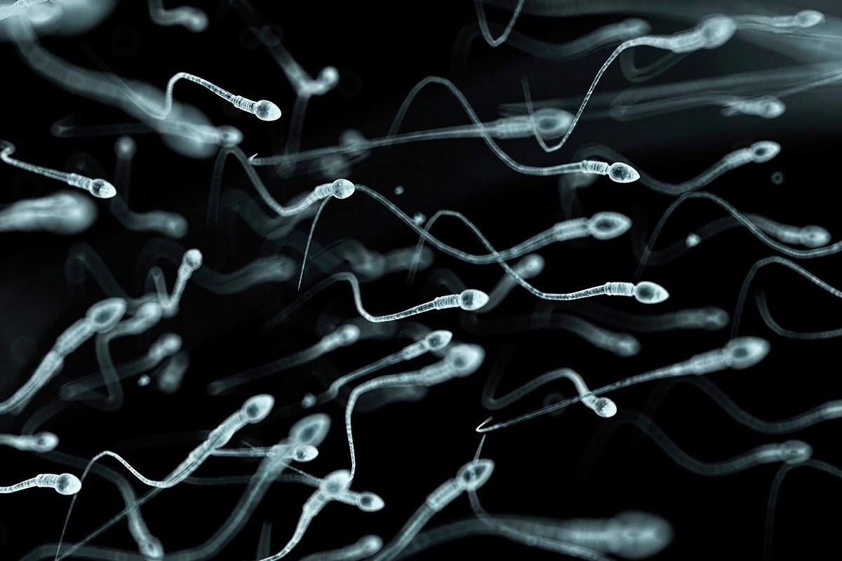 Semen reshapes immune system to boost chances of pregnancy