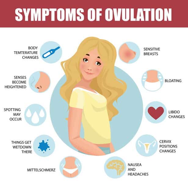 Simple Tutorial for Dummies: Symptoms Of Ovulation Period