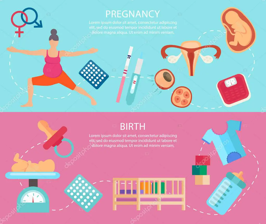 Stages Pregnancy Pregnancy Planning Conception Pregnancy Birth ...