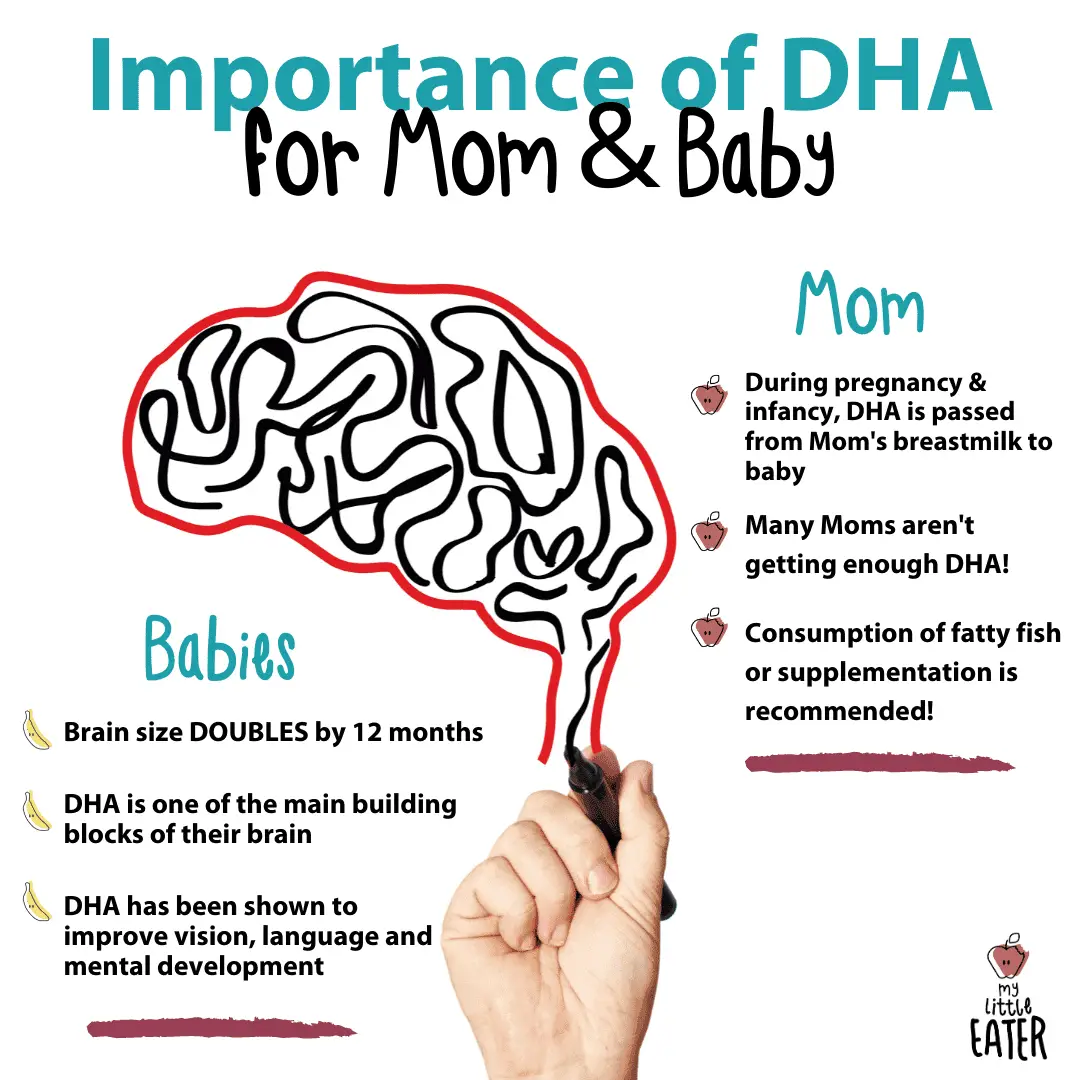 The Importance of DHA