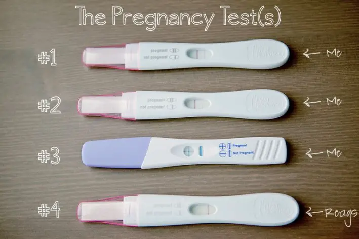 The pregnancy test showed a negative result