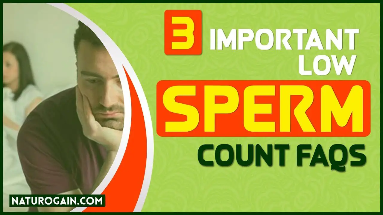 Tips for Getting Pregnant with Low Sperm Count [3 FAQs ...
