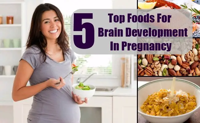 Top 5 Foods For Brain Development In Pregnancy