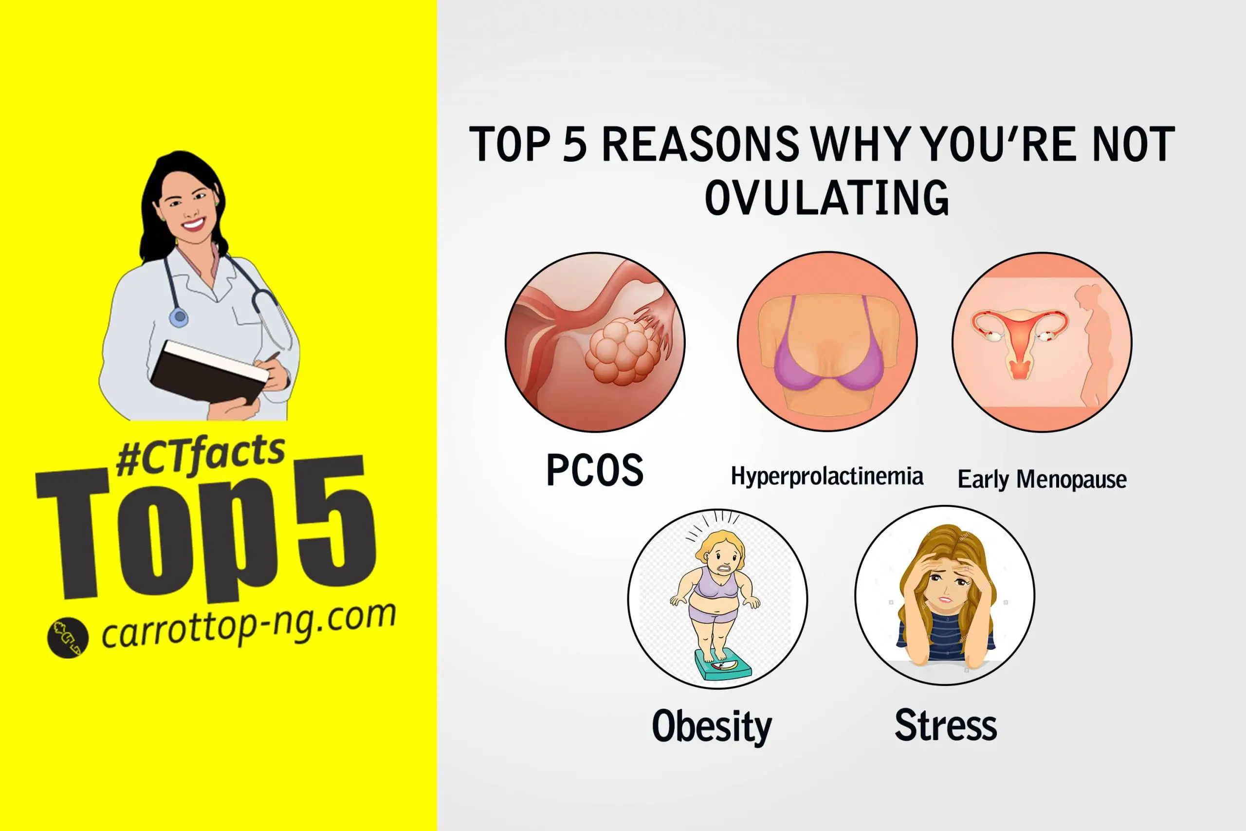 TOP 5 REASONS WHY YOURE NOT OVULATING  Carrot Top Drugs Limited