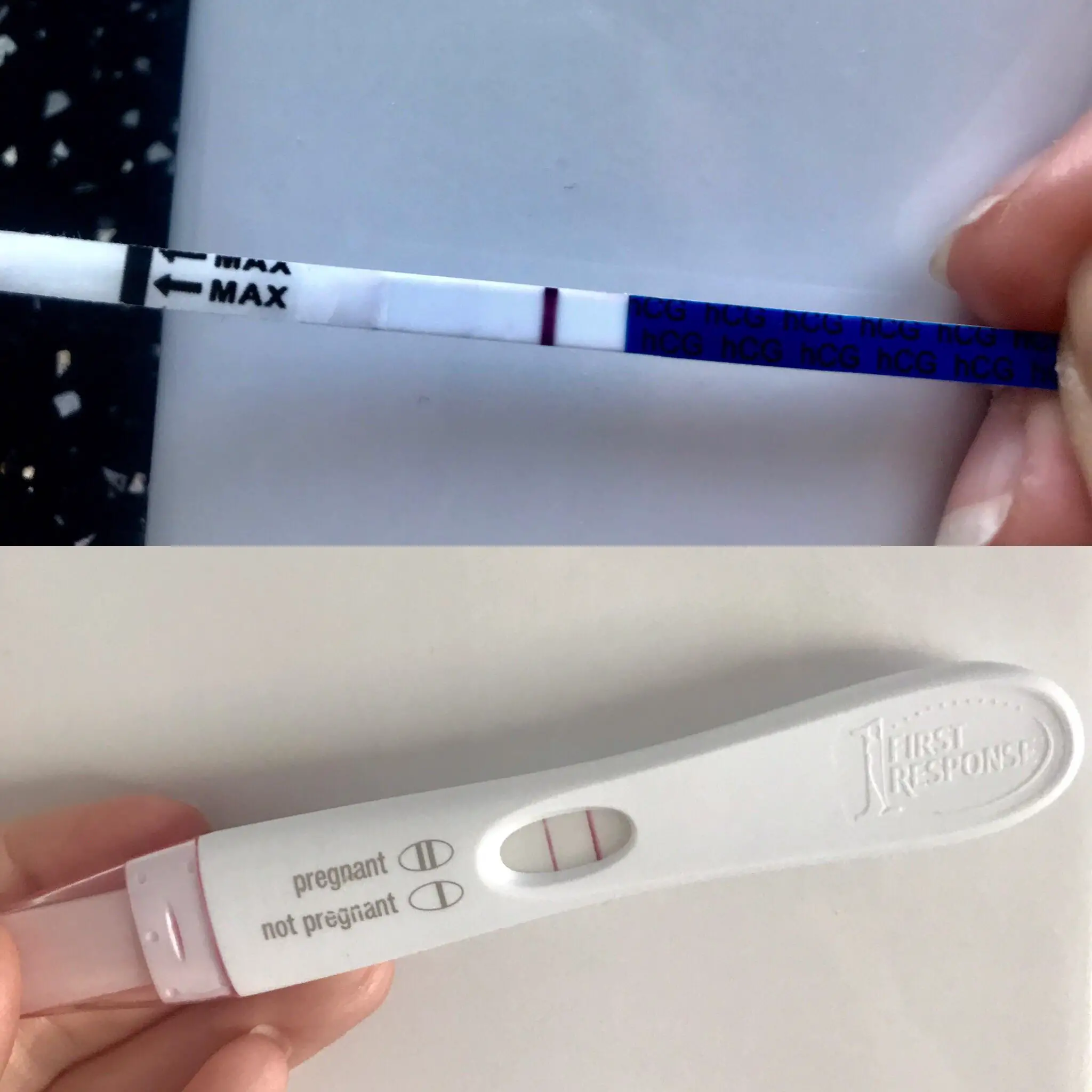 Top photo: One Step Pregnancy Test CD26/12DPO. Bottom Photo: FRER CD27 ...