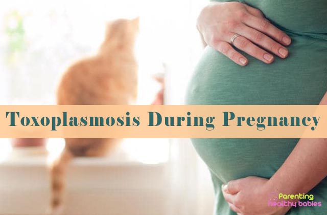 Toxoplasmosis During Pregnancy: Can It Harm My Baby?