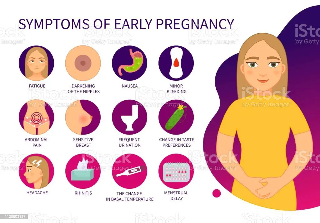 Vector Poster Early Signs Of Pregnancy Stock Illustration ...