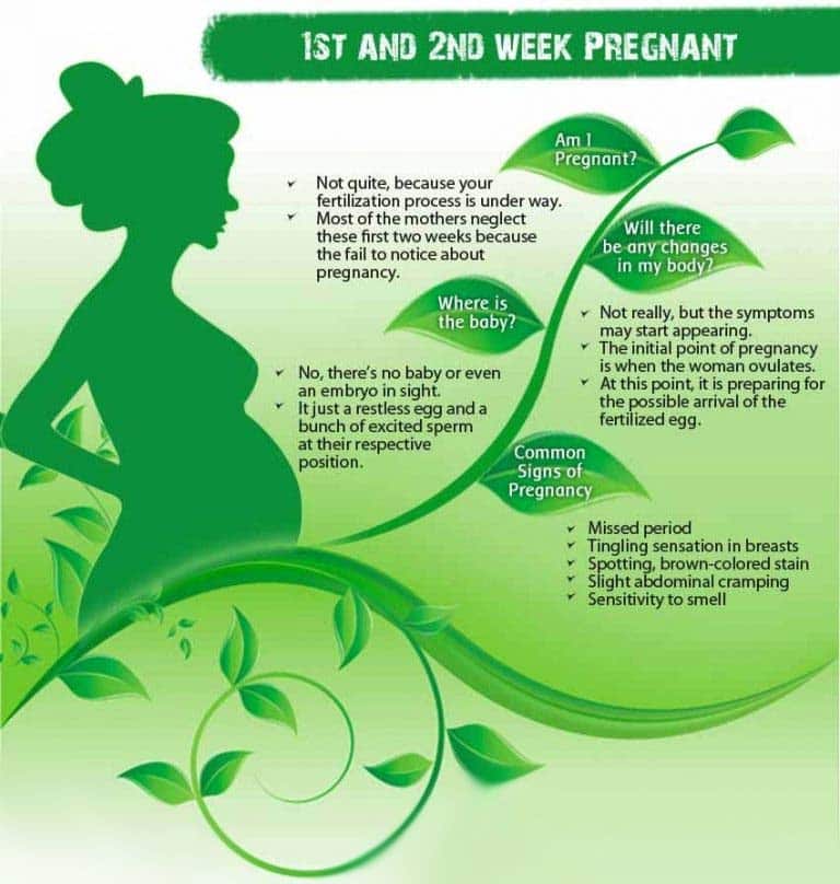 Very Early Signs Of Pregnancy 2nd Week