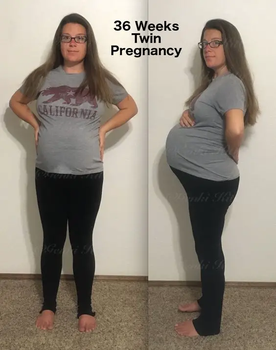 Week 36: Vegan Twin Pregnancy Update