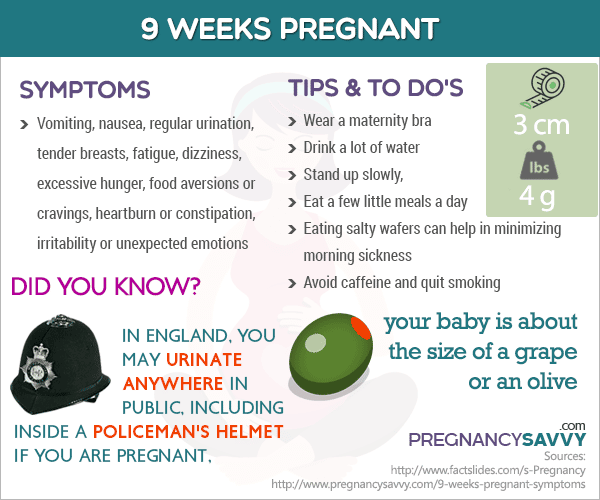 Week 9 pregnancy infographic