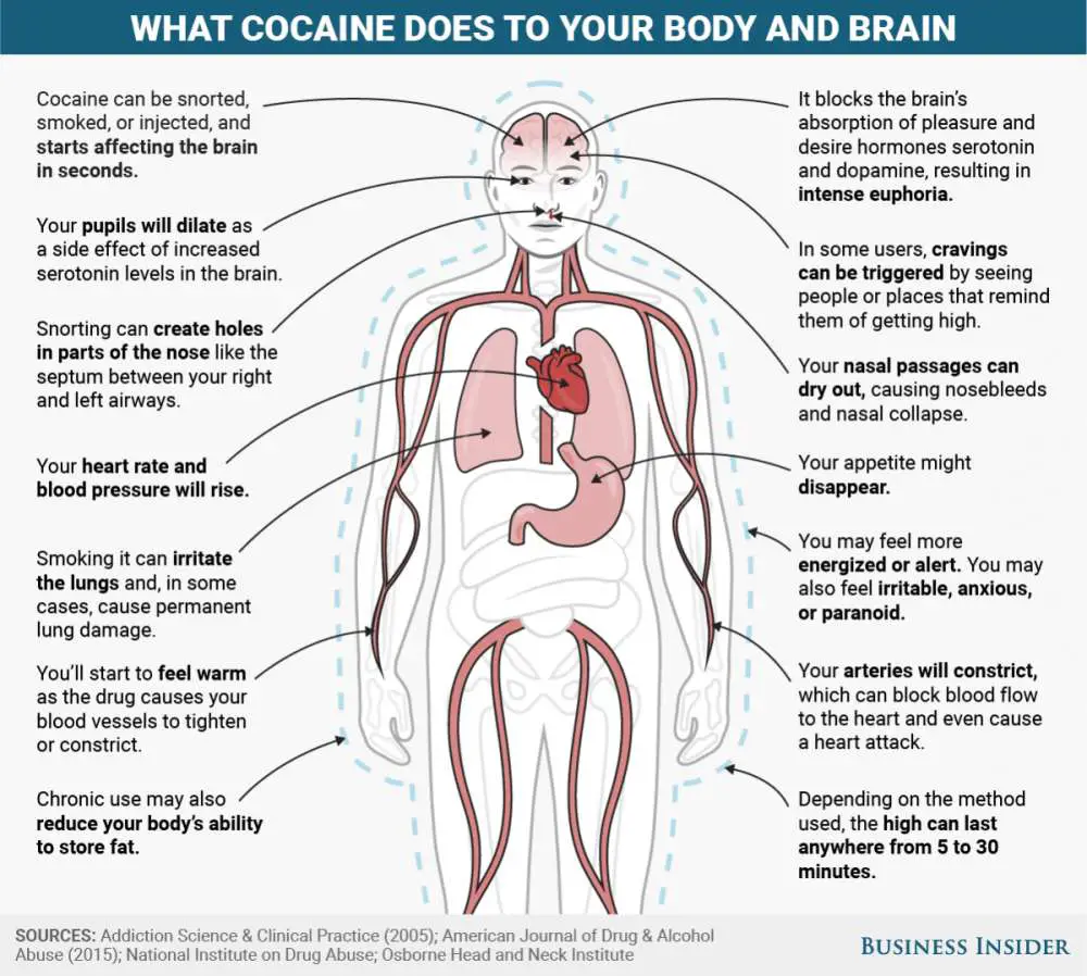 What 5 Popular Drugs Including Weed And Booze Do To Your Body And Brain ...