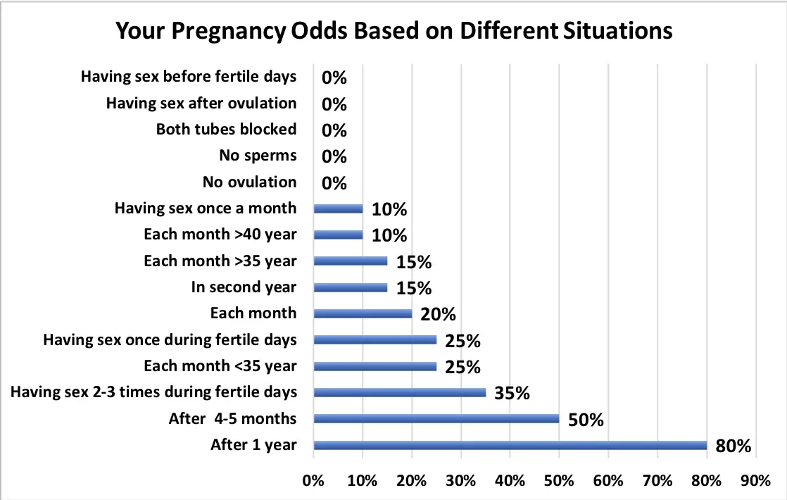 What Are Your Chances of Getting Pregnant? How to Conceive Faster!