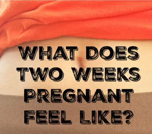 What Does Pregnancy Feel Like at 2 Weeks?