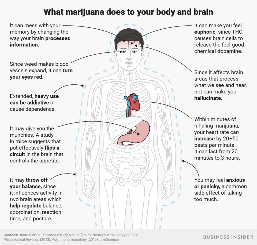 What Marijuana Does To Your Body And Brain